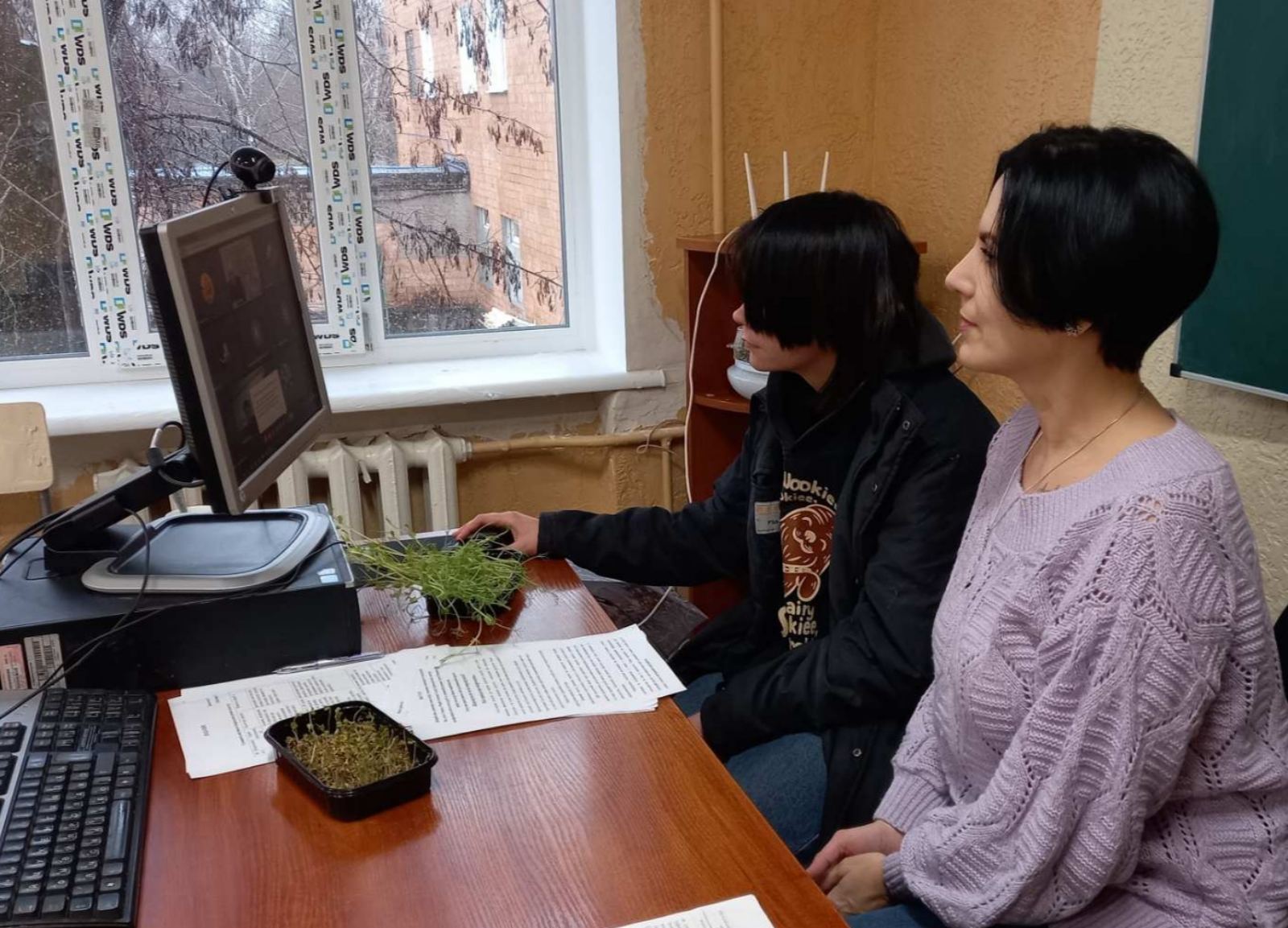 мікрозелень