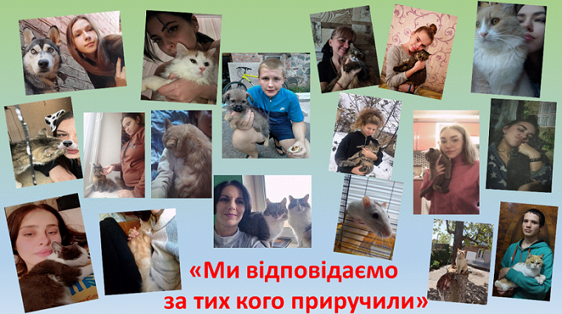 Безымянный