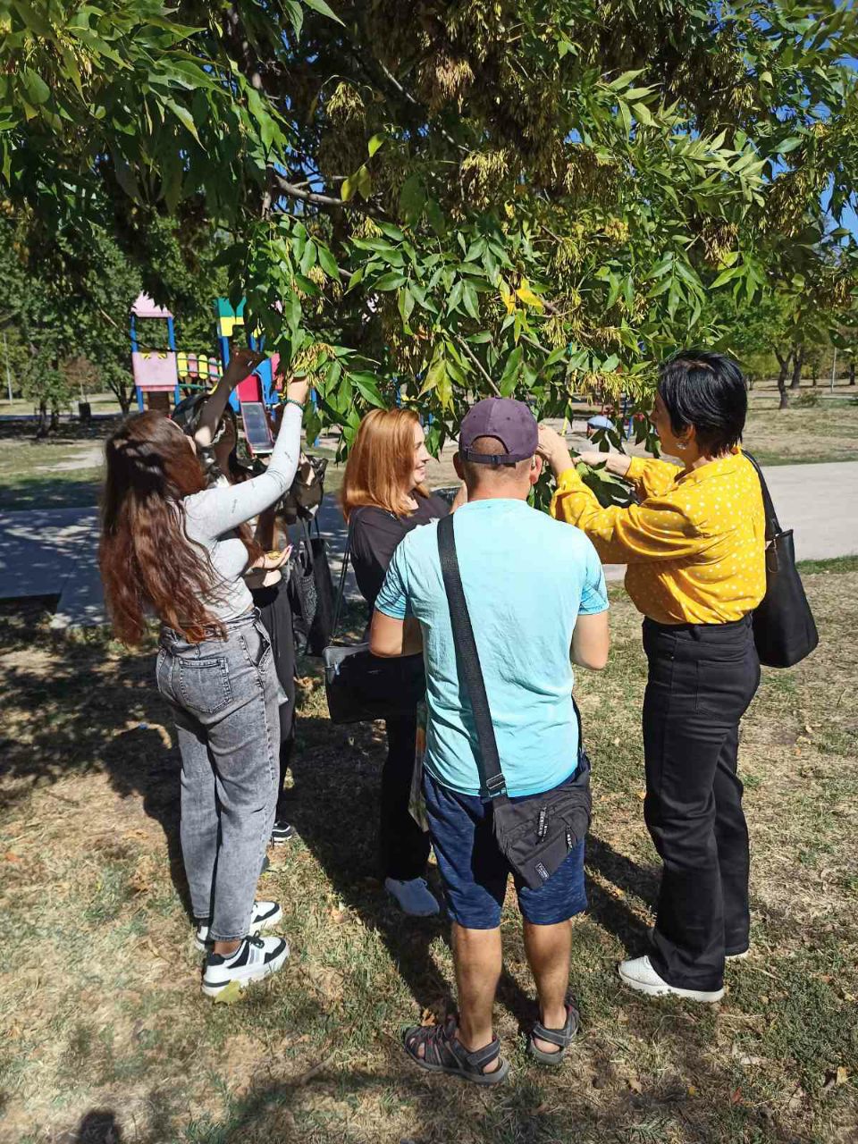 photo 2024 09 25 20 41 16