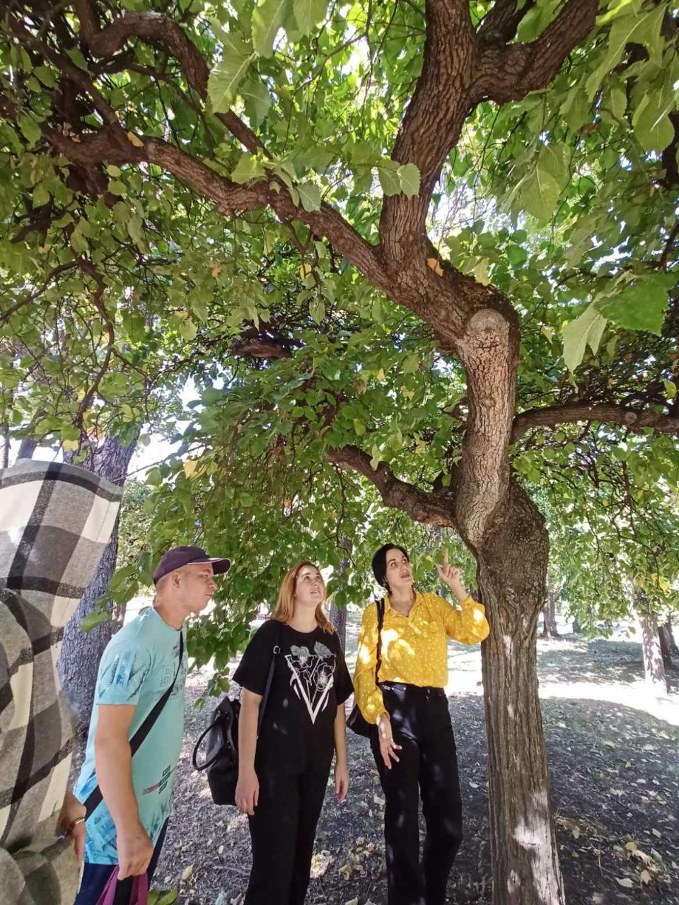 photo 2024 09 25 20 41 36