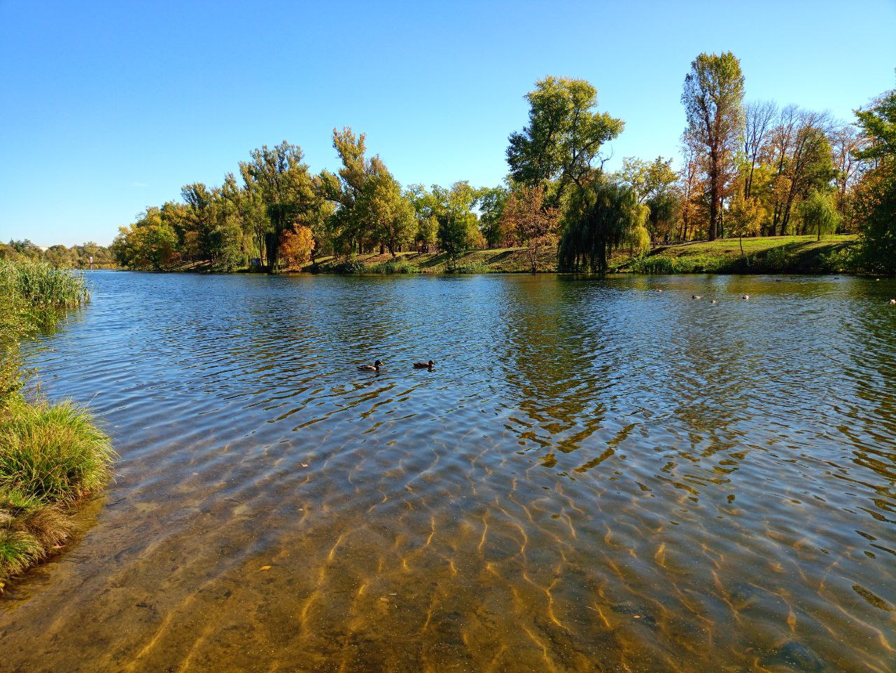 photo 2024 10 23 12 52 22