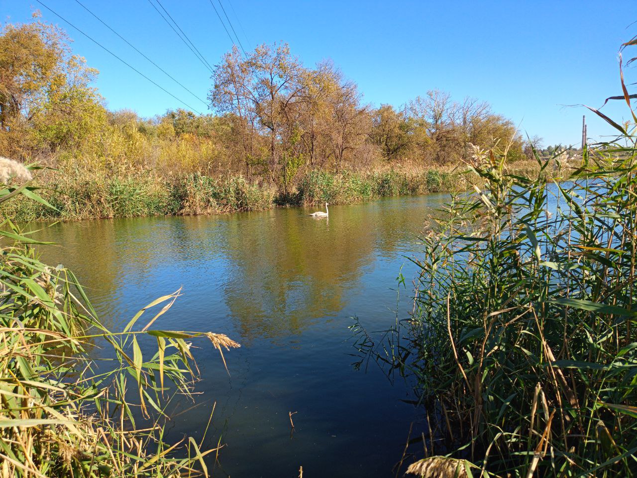 photo 2024 10 23 13 28 30