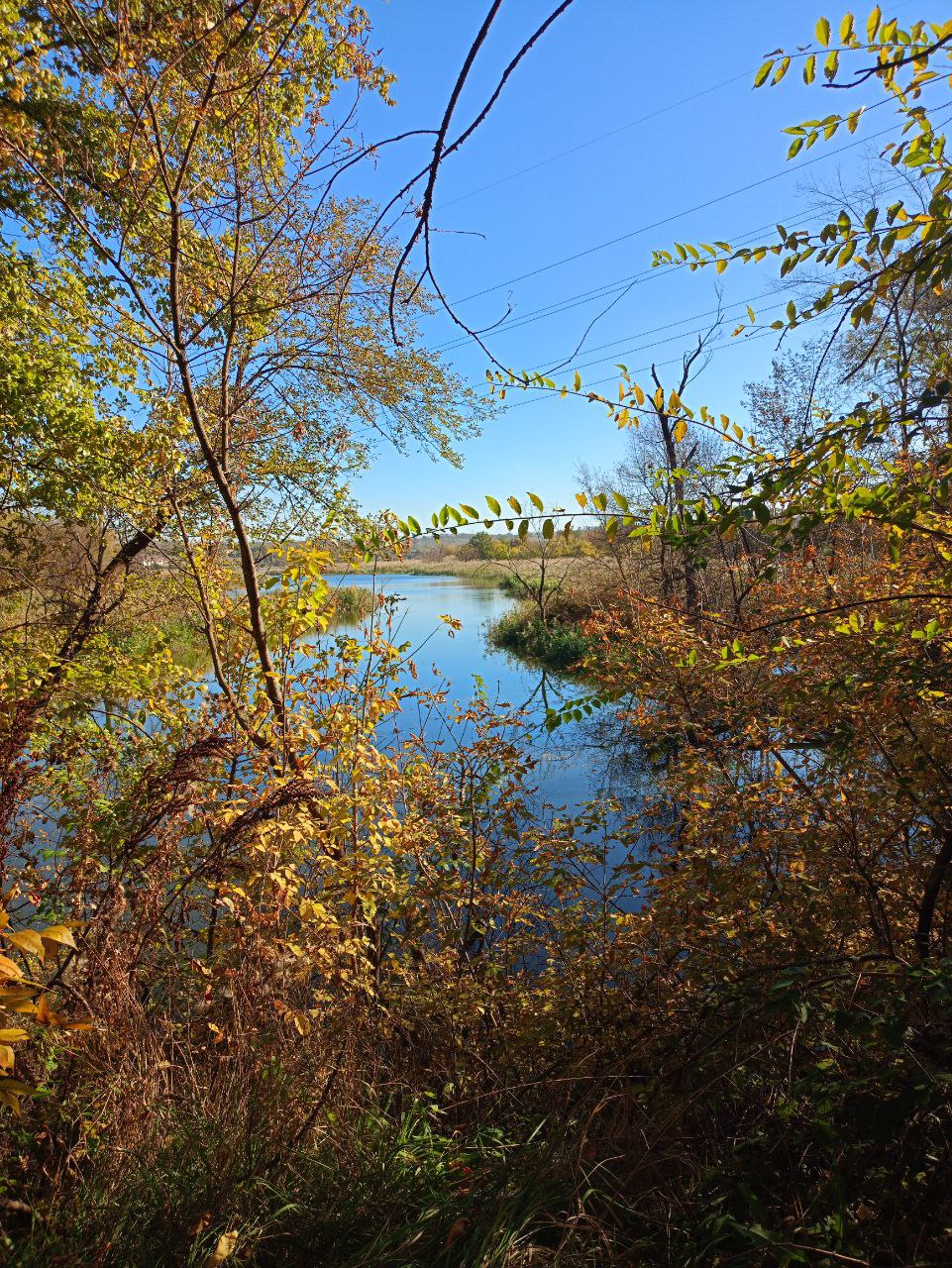 photo 2024 10 23 13 29 03