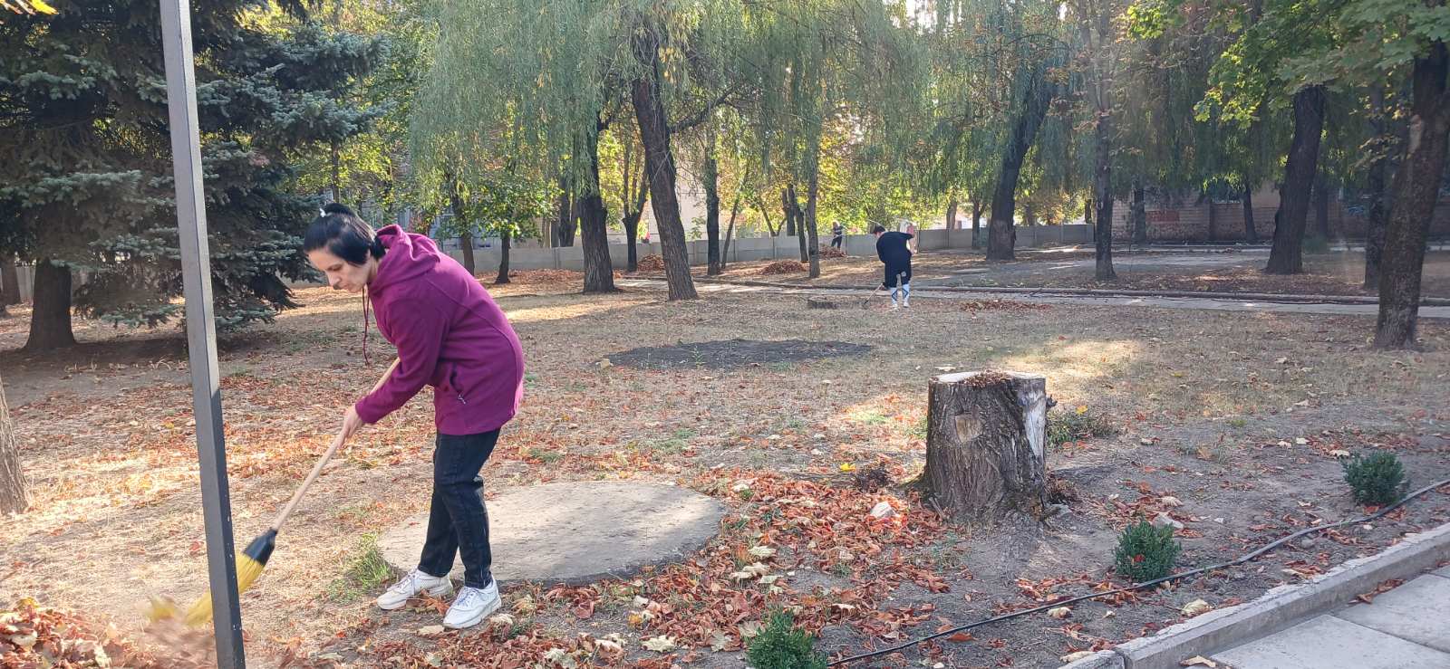 зображення viber 2024 10 03 12 11 16 833