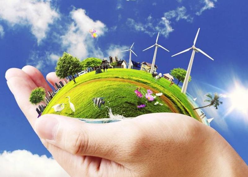 "Природа — наш дім": учні КЦПОММ здобули перемоги у Всеукраїнському конкурсі!