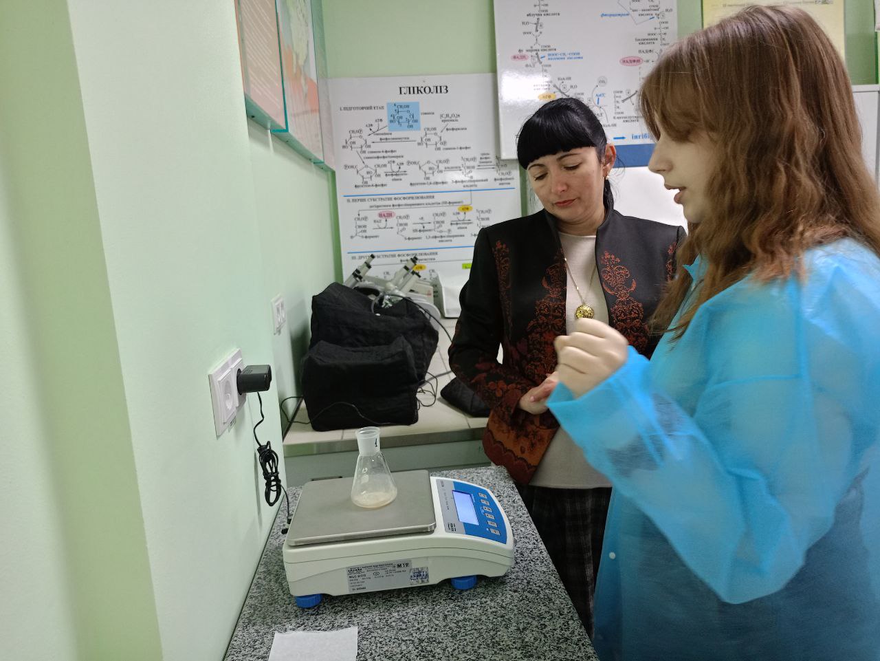 photo 2024 11 12 11 10 05