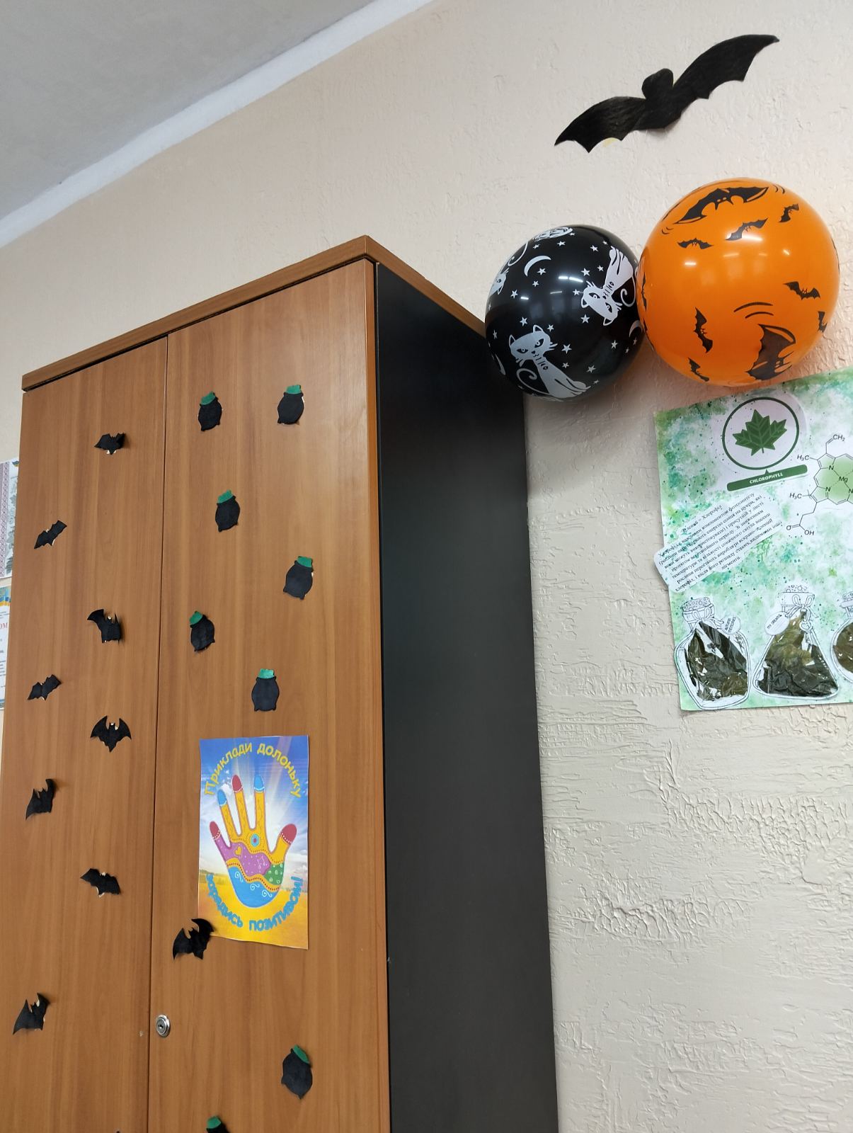 зображення viber 2025 11 04 10 16 32 282