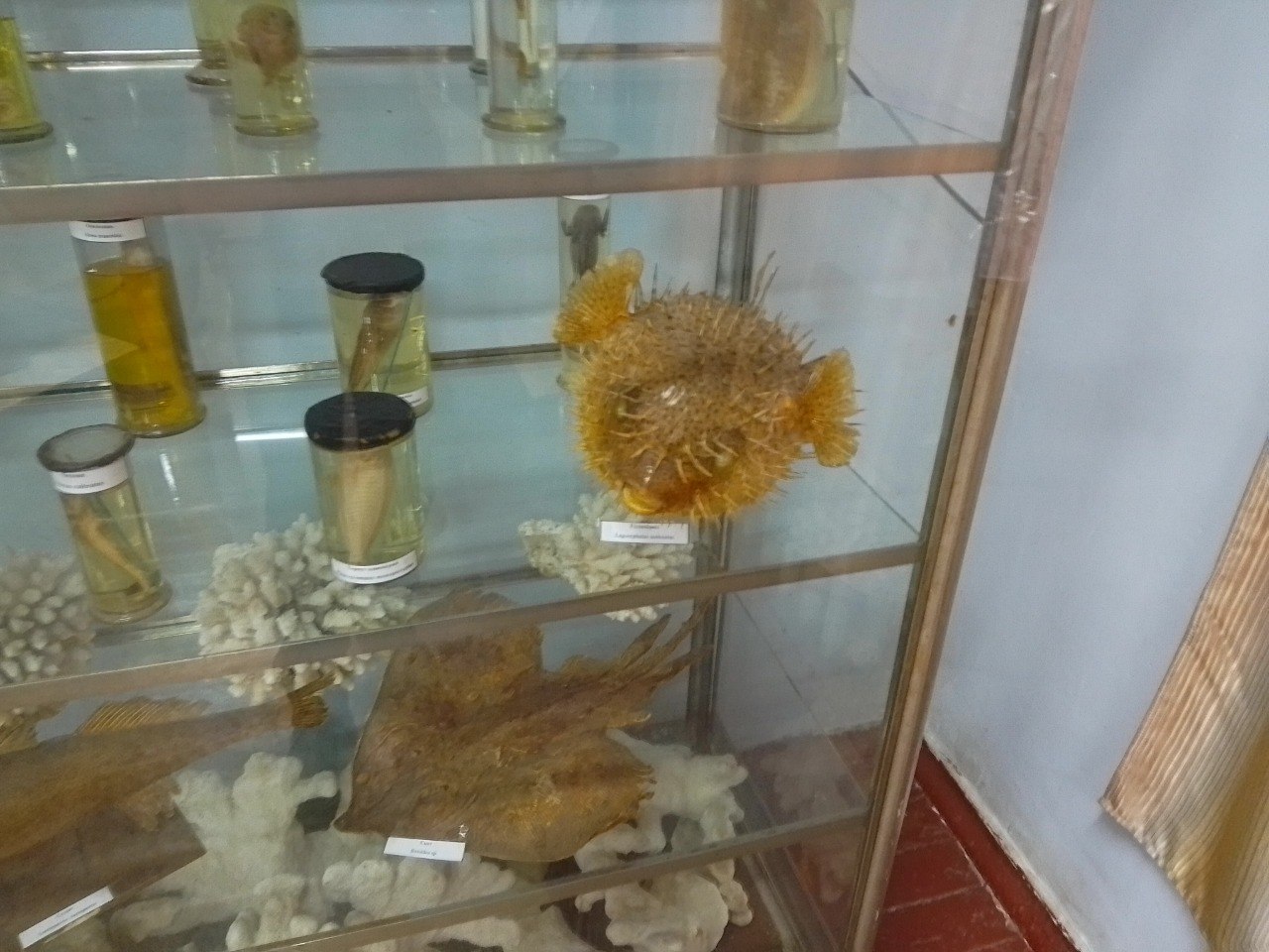 641631361 1413396720584046 2584199220668904609 n